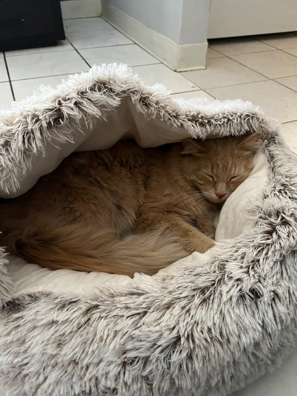 CozyNest • Calming Nest Dog & Cat Bed